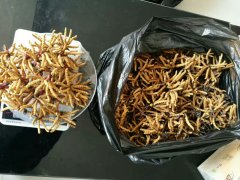 柳州回收冬虫夏草，回收5x极草含片