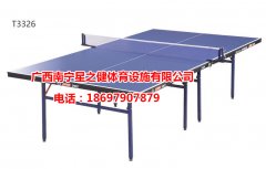 室外乒乓球台 标准SMC室外球台 乒乓桌 室内兵乓球台