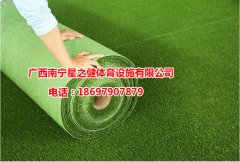 人造草坪标准足球场草坪 彩色跑道塑料假草皮室外地毯批发