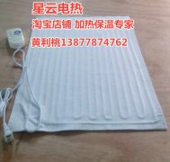 冬季取暖办公室保暖夜班保温老人保暖迷你无电流单人电热毯