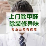 铜梁除甲醛公司