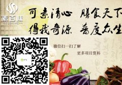 沧州素百味素食餐馆加盟 多样化的经营方式