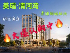 青浦漕盈路地铁1.5公里清河湾双层公寓首付95万起