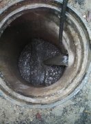 唐山古冶区管道疏通 清洗管道 清理污泥化粪池