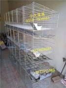 鸡鸽兔笼鹌鹑笼鹧鸪笼鸡笼子鸽笼子兔笼子运输笼鸟笼鸽子笼兔子笼