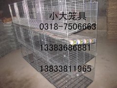 出售鸡笼鸽子笼兔子笼鹌鹑笼狐狸笼鹧鸪笼宠物笼运输笼狗笼 铁丝网电焊网围墙网